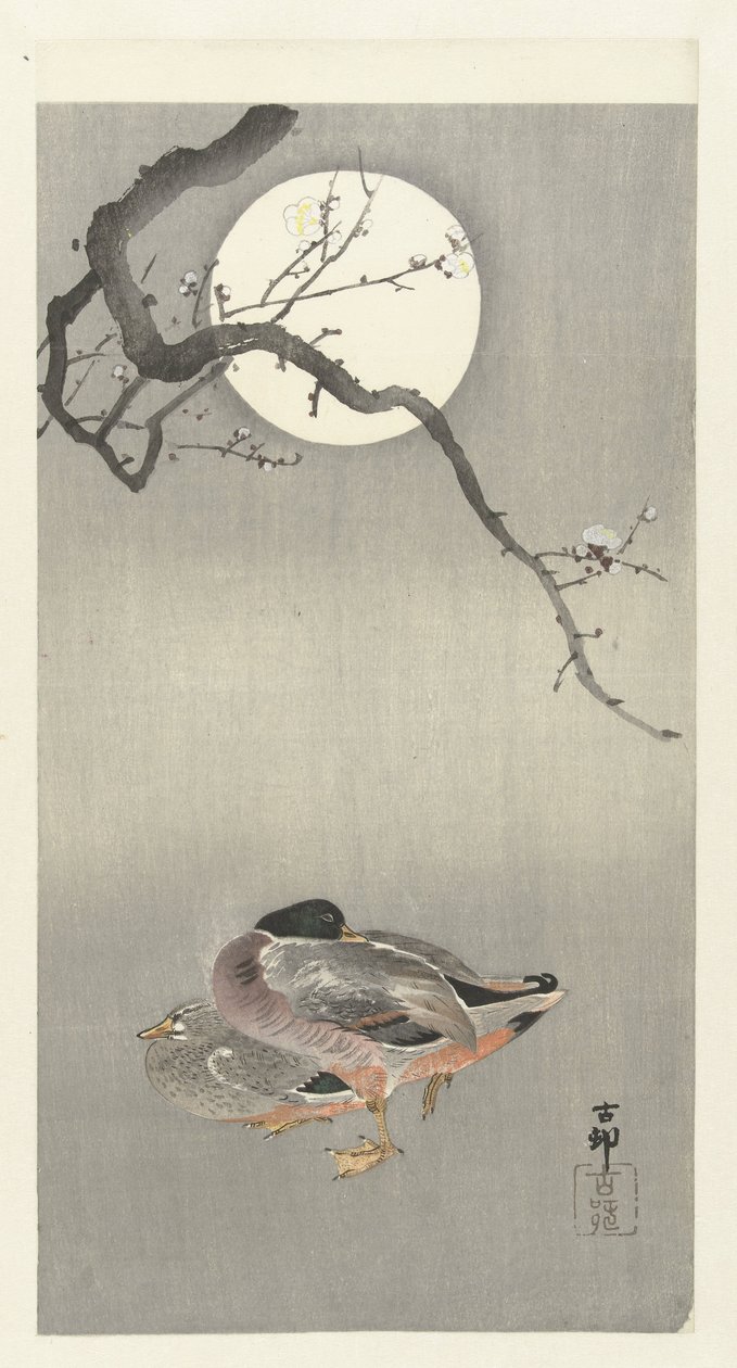 Ender ved fullmåne av Ohara Koson
