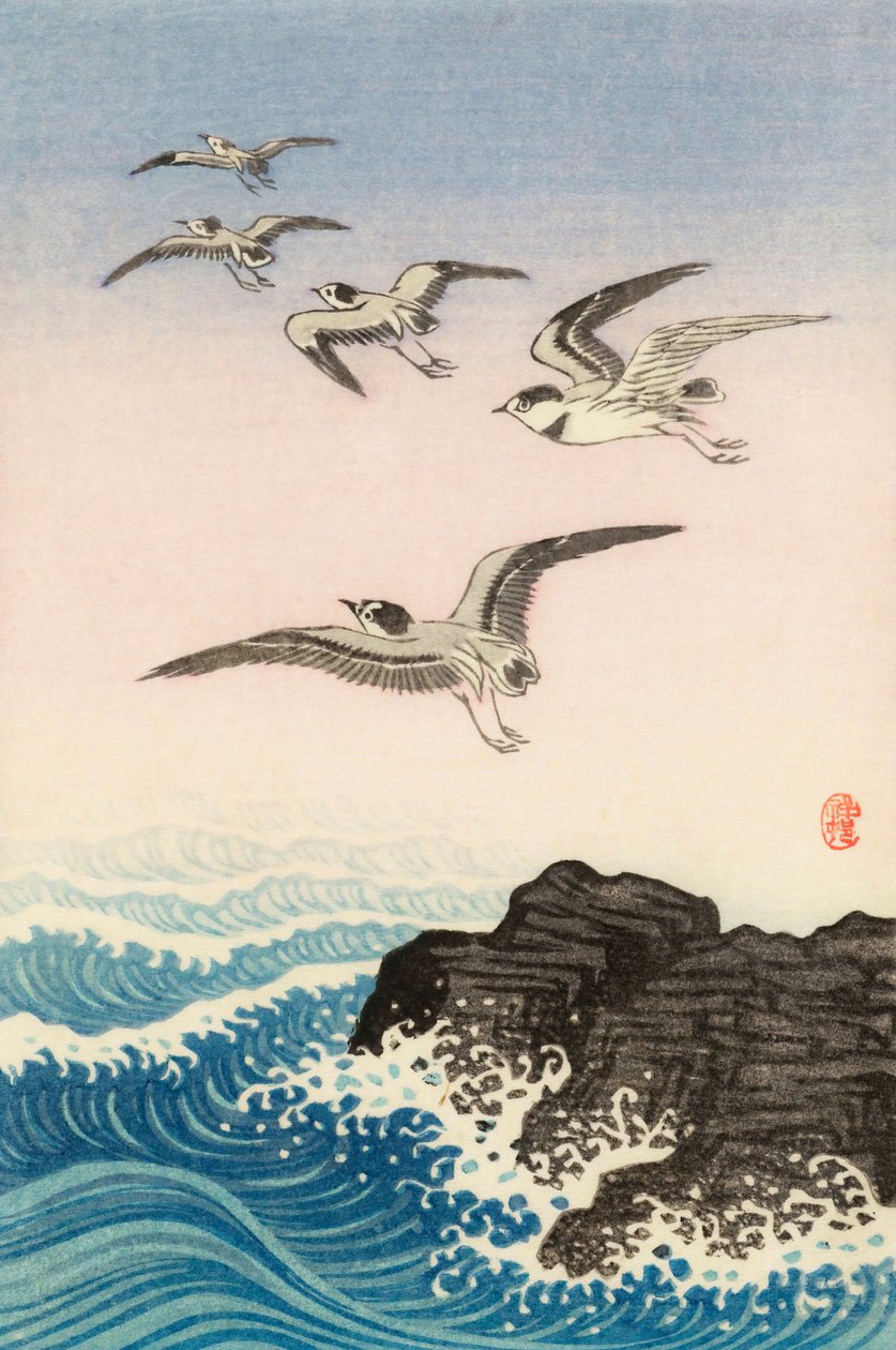Five Seagulls Above a Rock in the Sea, 1900-tallet (japansk trykk) av Ohara Koson