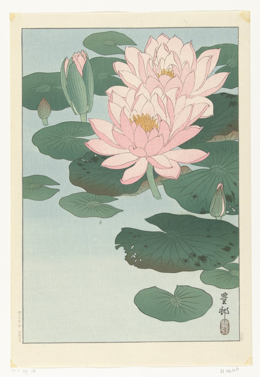 Blomstrende vannlilje av Ohara Koson