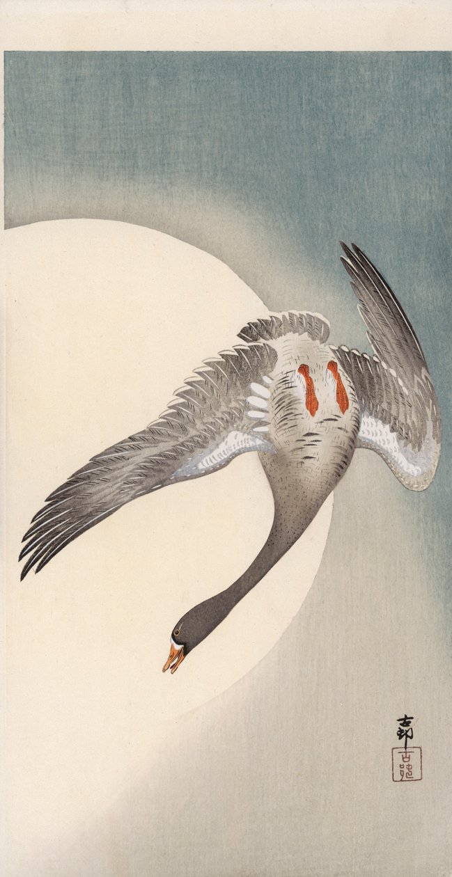 Flygende kvitgås sett nedenfra foran månen (farget treblokktrykk) av Ohara Koson