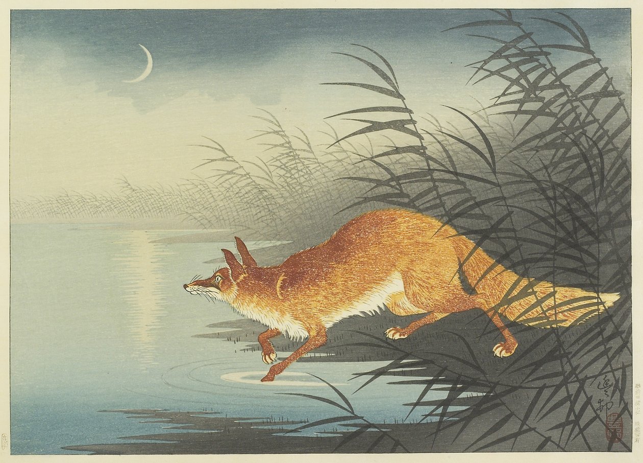Fox by the Moonlit Water, 1930-tallet (treblokktrykk i farger) av Ohara Koson
