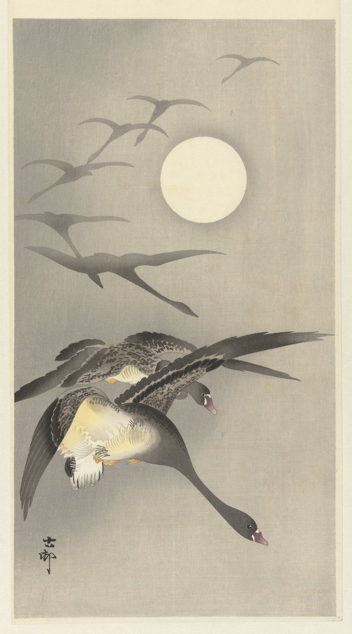 Gjess ved fullmåne av Ohara Koson