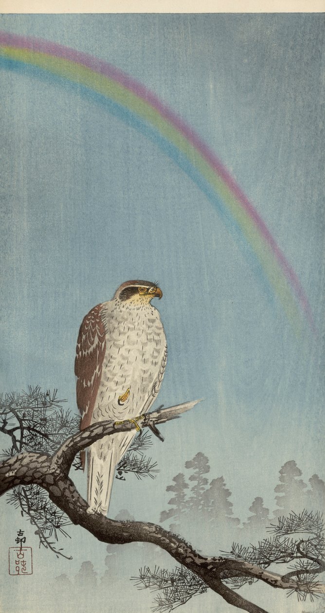Hønsehauk på et furutre med en regnbue over (farget treblokktrykk) av Ohara Koson