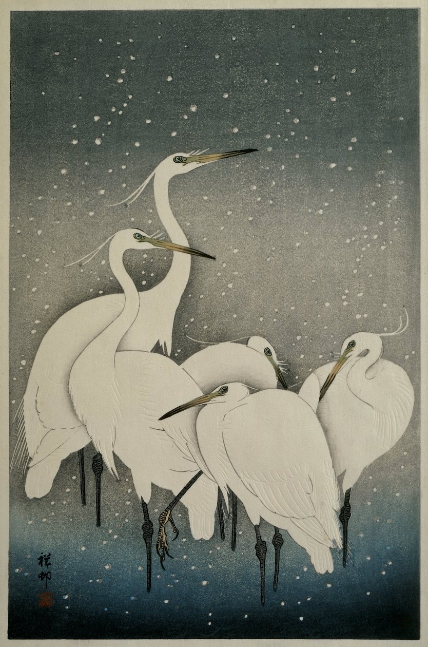 Gruppe av egrets av Ohara Koson