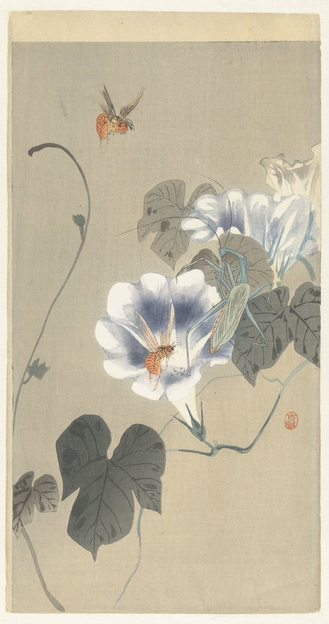 Insekter i bindweed av Ohara Koson