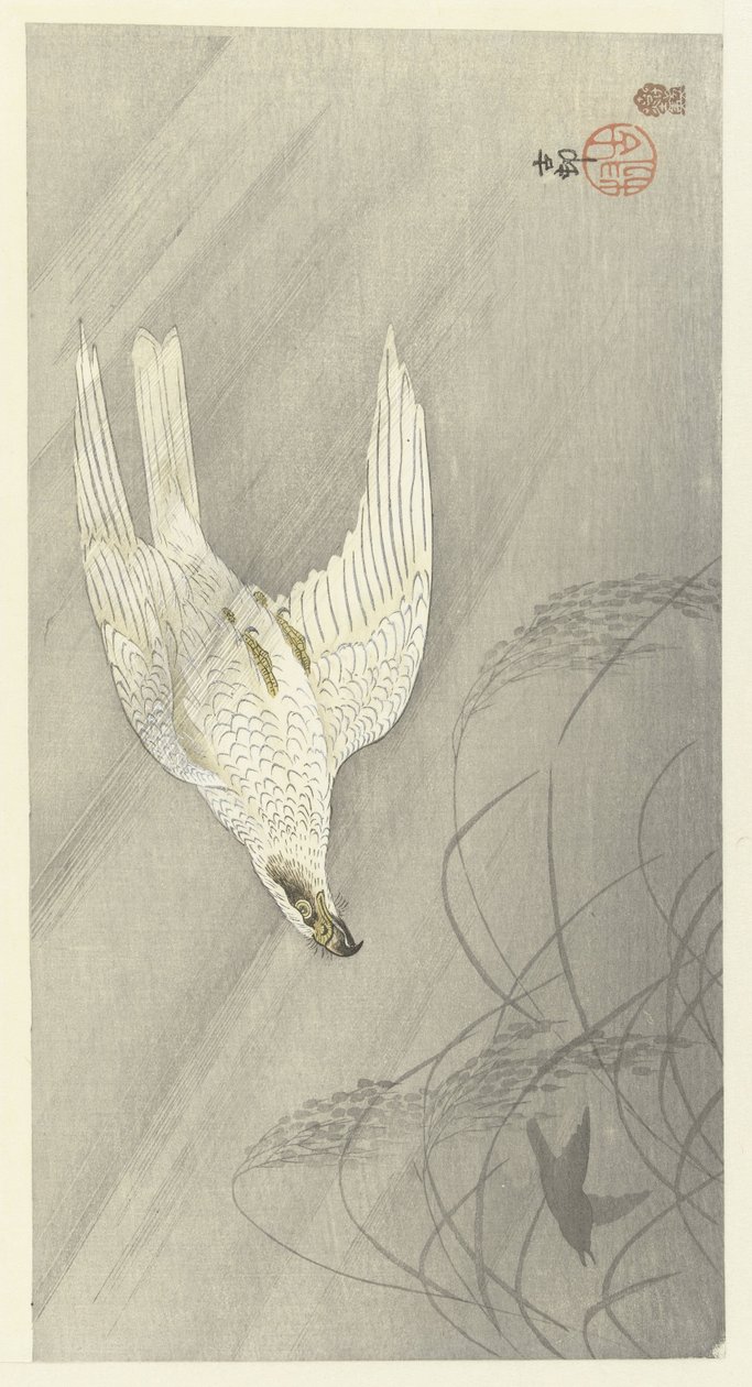 Jakt hauk av Ohara Koson