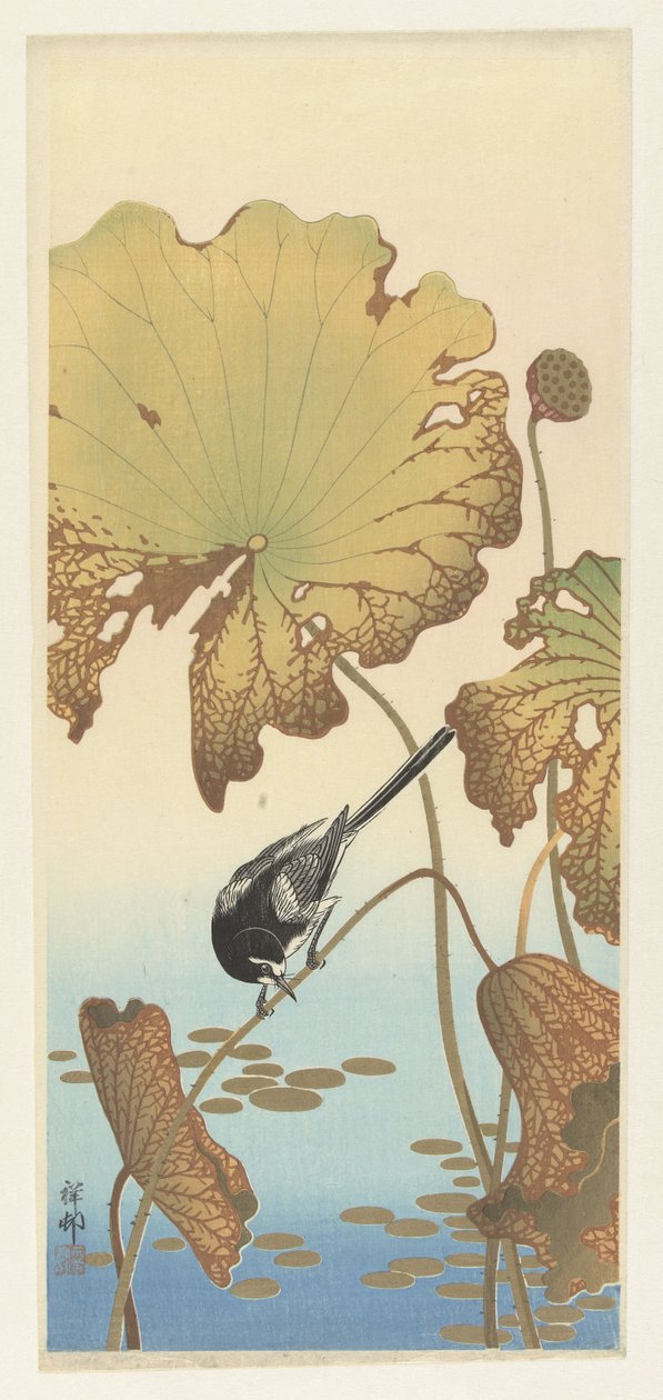 Japansk viphale på lotusplante av Ohara Koson