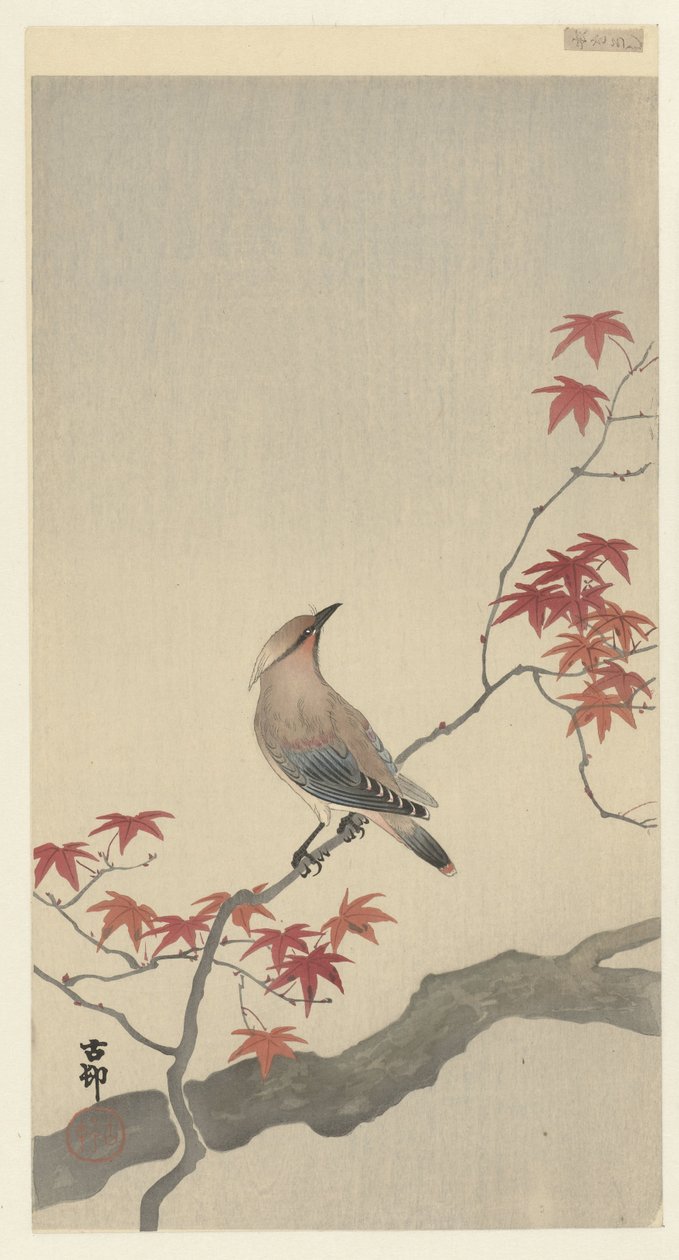 Japansk voksvinge på lønn. av Ohara Koson