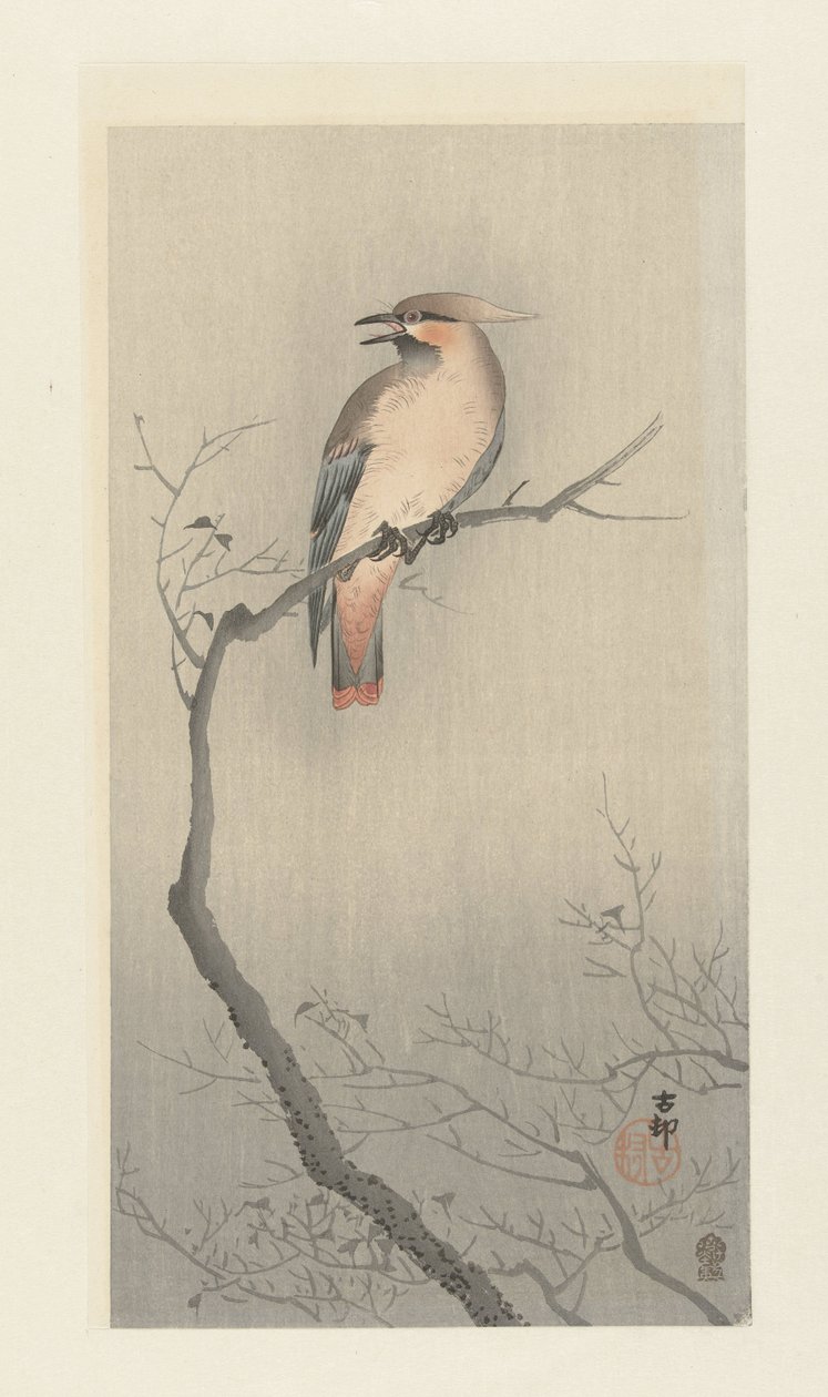 Japansk voksvinge på gren av Ohara Koson