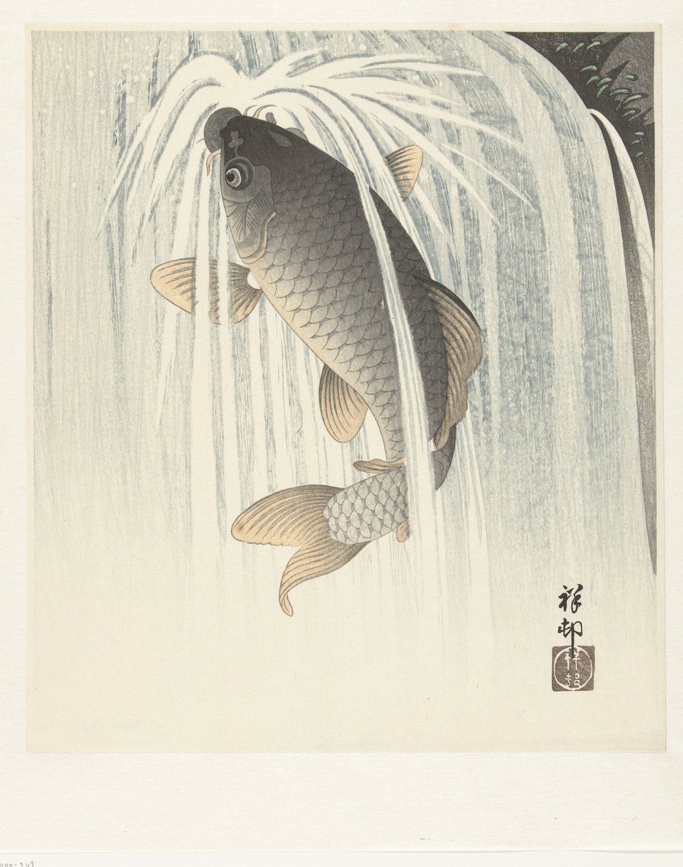 Karpe av Ohara Koson