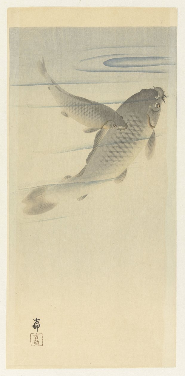 karpe av Ohara Koson