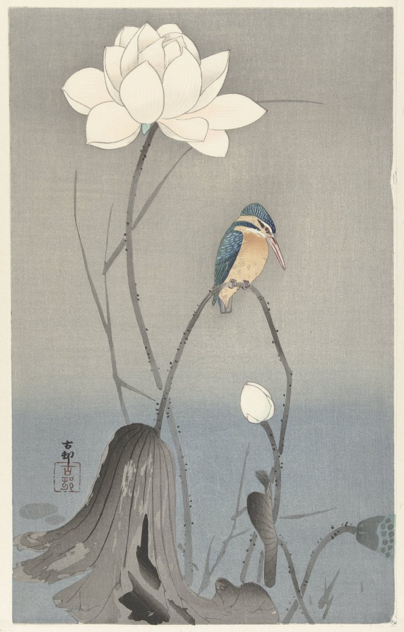 Kingfisher med lotusblomst av Ohara Koson