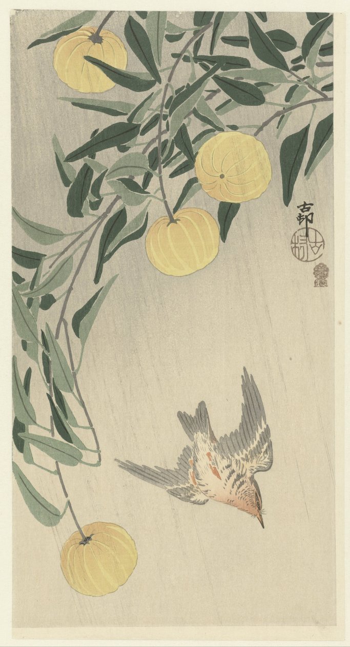 Gjøk i regnet av Ohara Koson