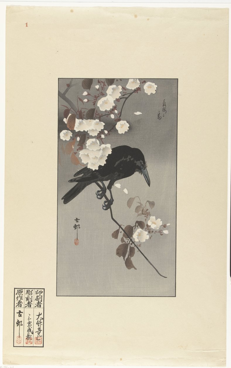 Kråke og kirsebærblomst Hana sakura no tori (tittel på objekt) av Ohara Koson