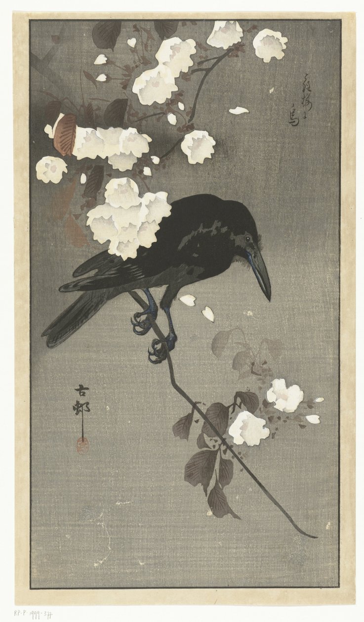 Kråke med kirsebærblomst Hana sakura no tori (tittel på objekt) av Ohara Koson