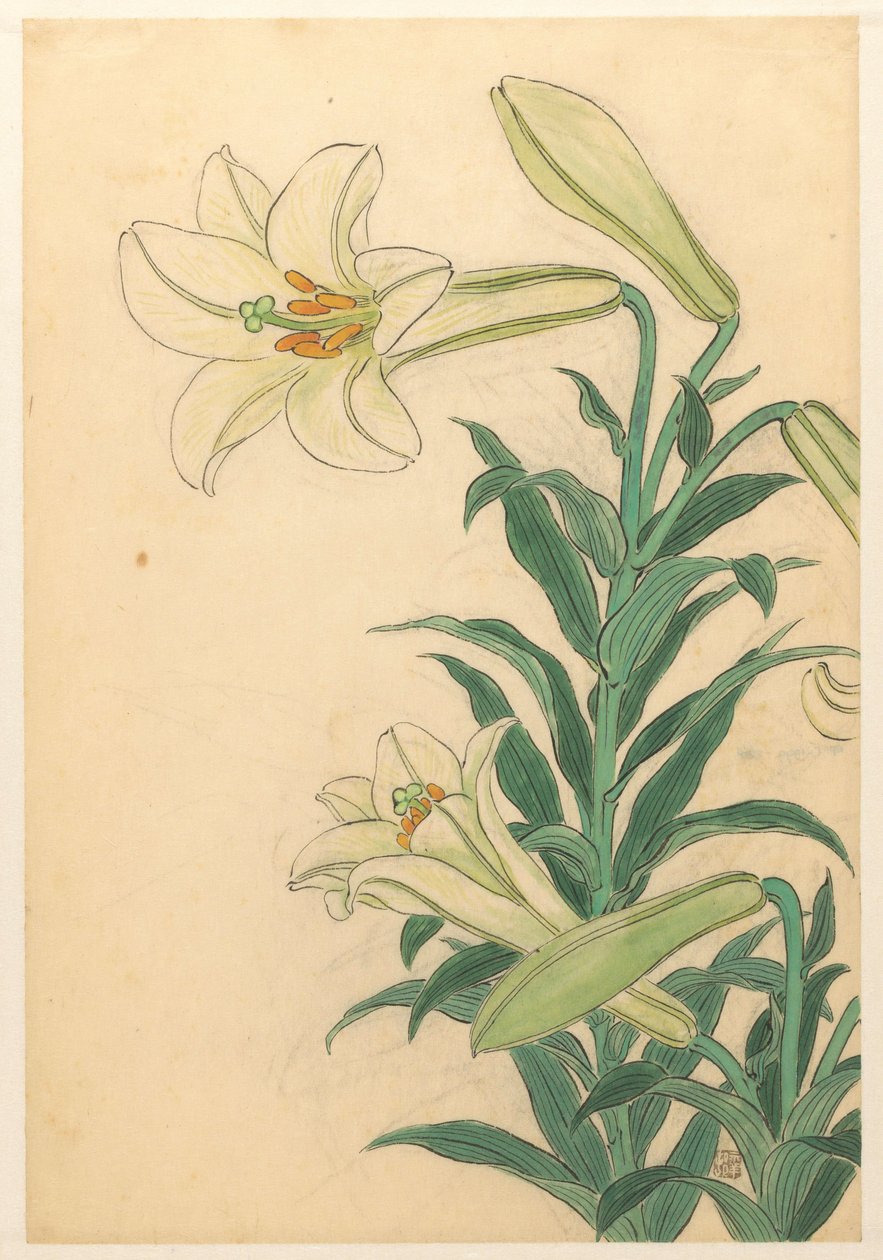 Liljer Teppoyuri av Ohara Koson