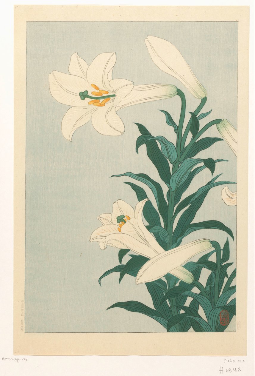 Lelies av Ohara Koson
