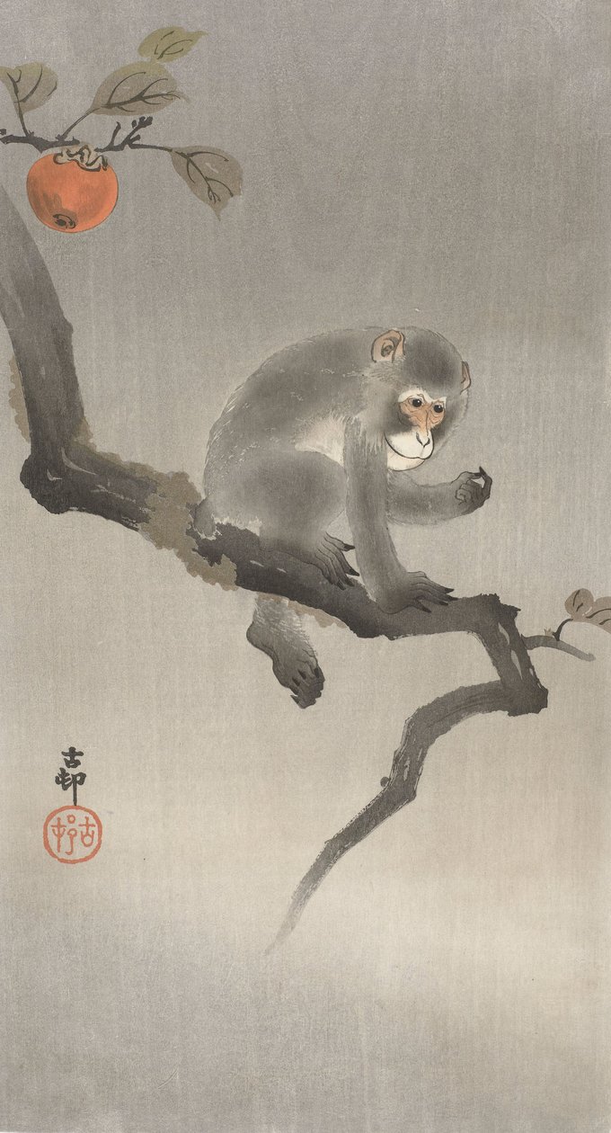 Ape i et frukttre, 1900-30 (fargetresnitt) av Ohara Koson