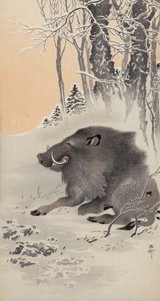 Liggende villsvin i et snødekt landskap (farget treblokktrykk) av Ohara Koson