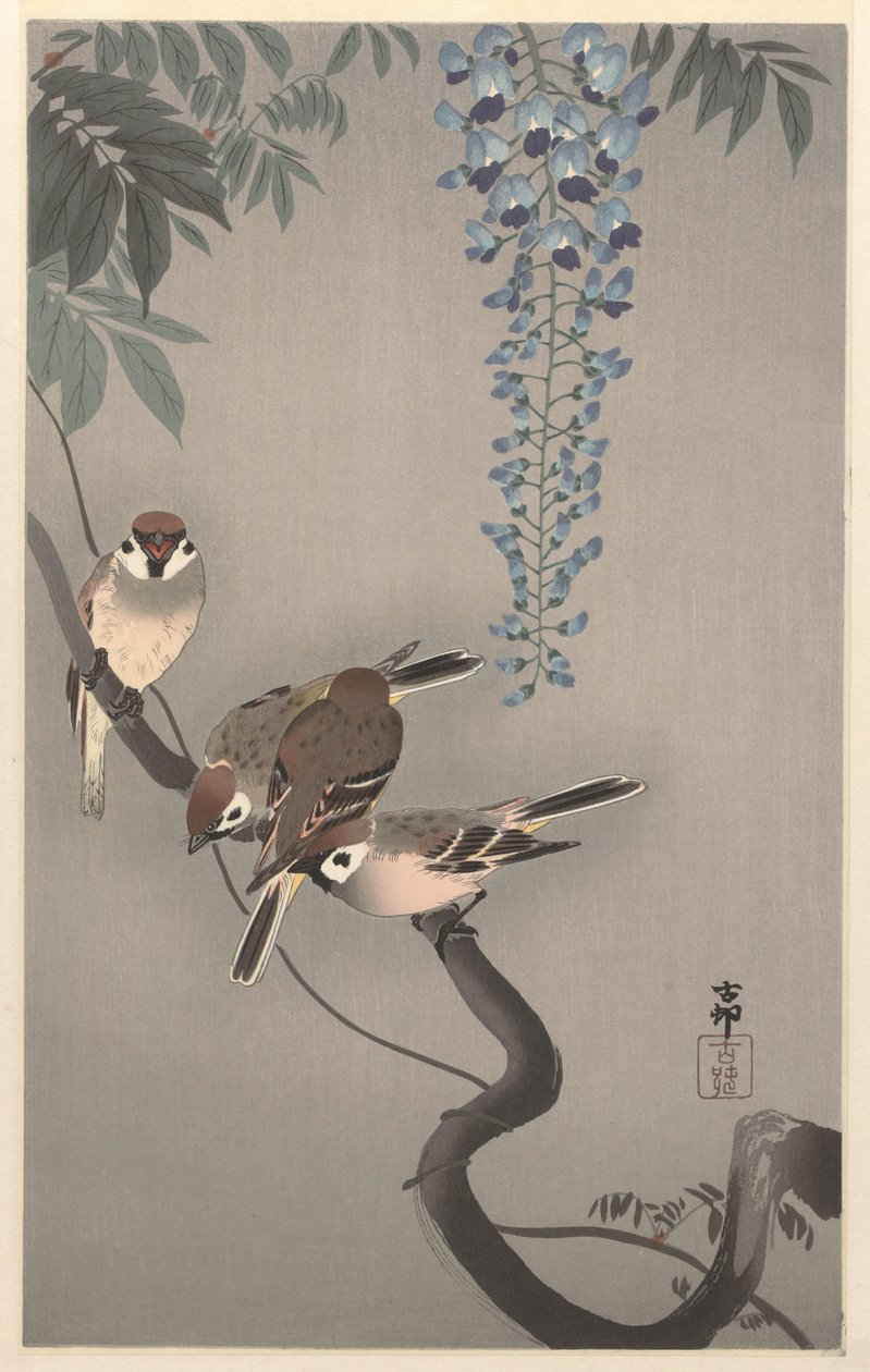 Ringspurv ved blåregn av Ohara Koson