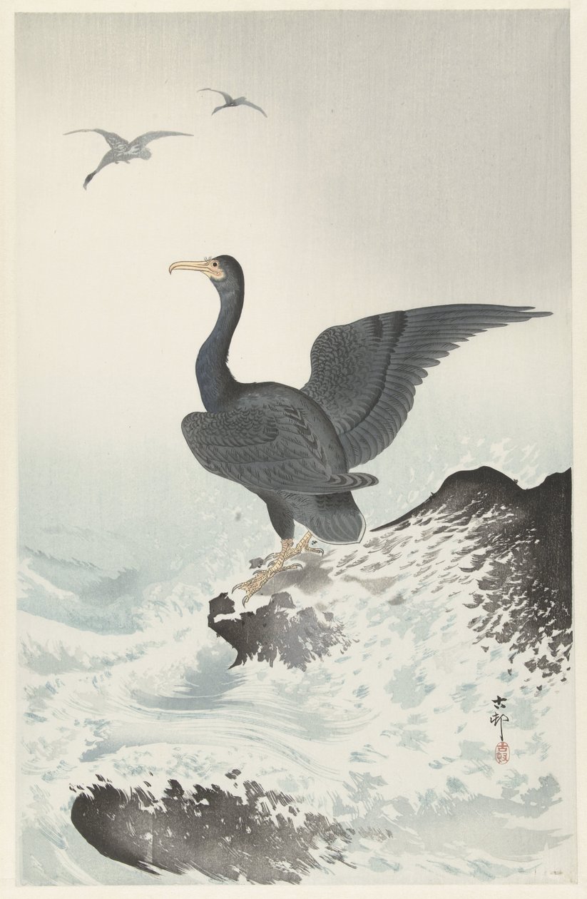 Rødmasket skarv på stein av Ohara Koson