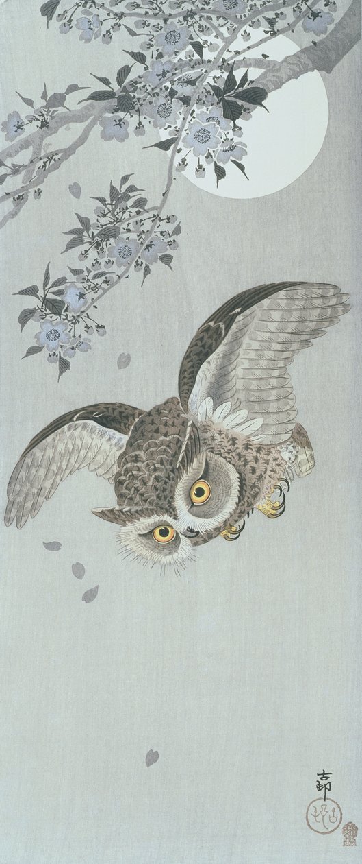 Scoop ugle på flukt med blomst og fullmåne (farget treblokktrykk) av Ohara Koson