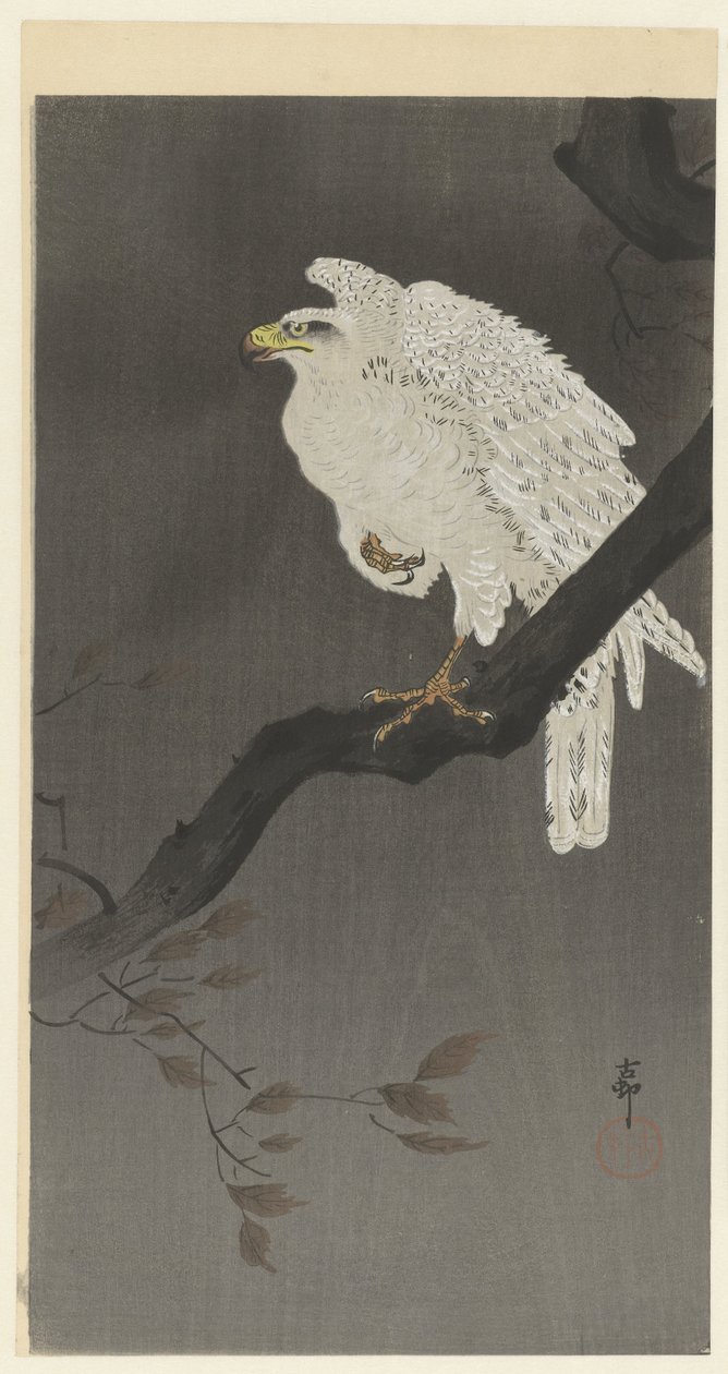 Snøørn på en gren av Ohara Koson
