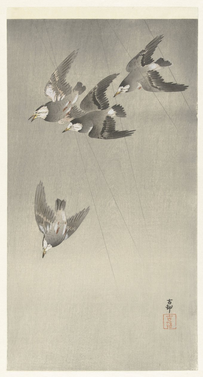 Stær i regnet av Ohara Koson