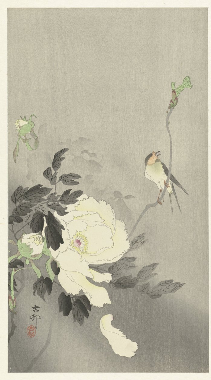 Svelg med Peony av Ohara Koson