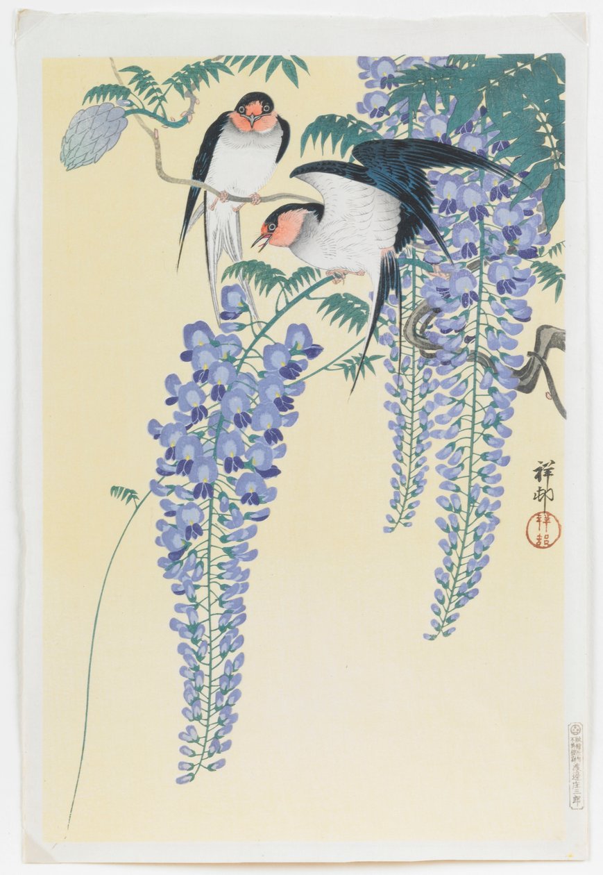 Svaler og blåregn av Ohara Koson