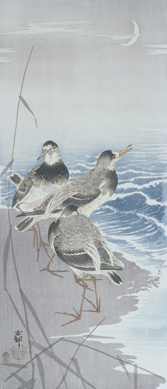 Tre sandpiper ved vannkanten foran siv (farget treblokktrykk) av Ohara Koson