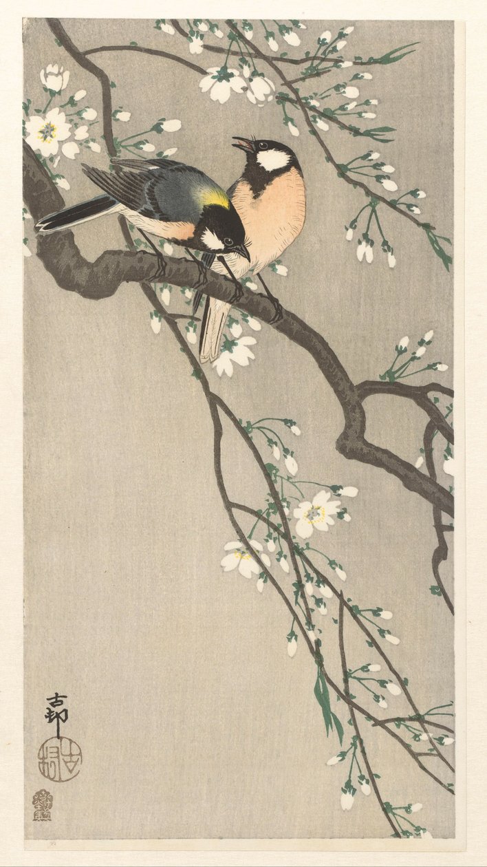 Pupper på Cherry Branch av Ohara Koson