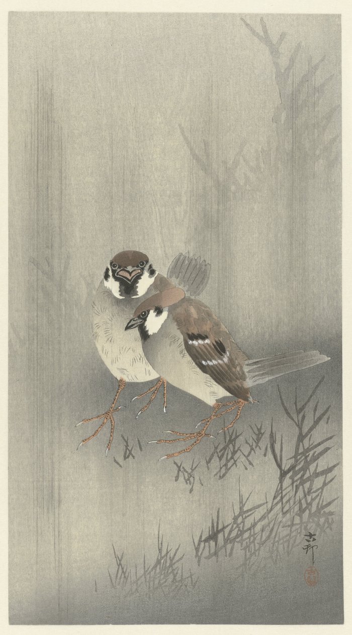 To ringspurver i regnet av Ohara Koson