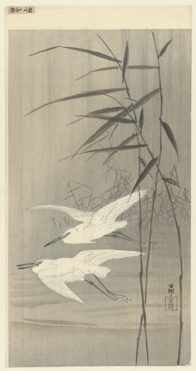 To egrets på flukt av Ohara Koson
