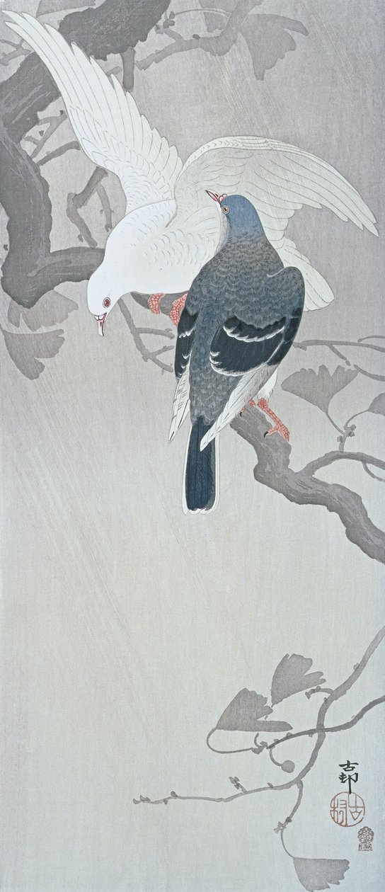 To duer i regnet på en gren av et ginkgo-tre av Ohara Koson