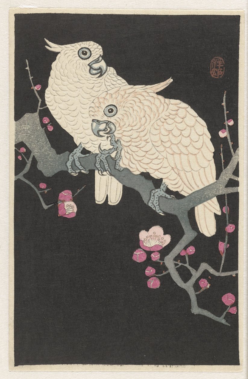 To kakaduer og plommeblomstrer av Ohara Koson
