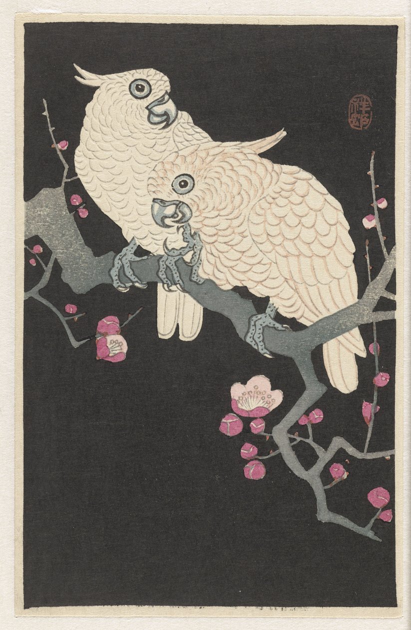 To kakaduer og plommeblomst av Ohara Koson