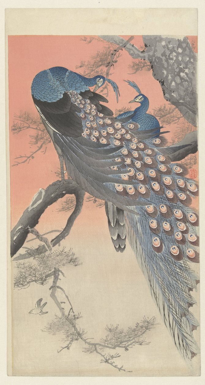 To påfugler på en tregren av Ohara Koson