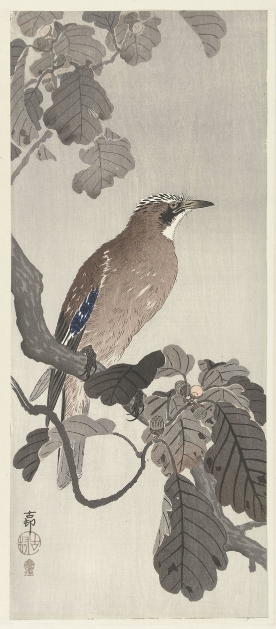 Flamsk jay på tregren av Ohara Koson