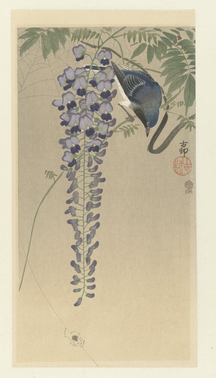 Fluesnapper ved blåregn av Ohara Koson