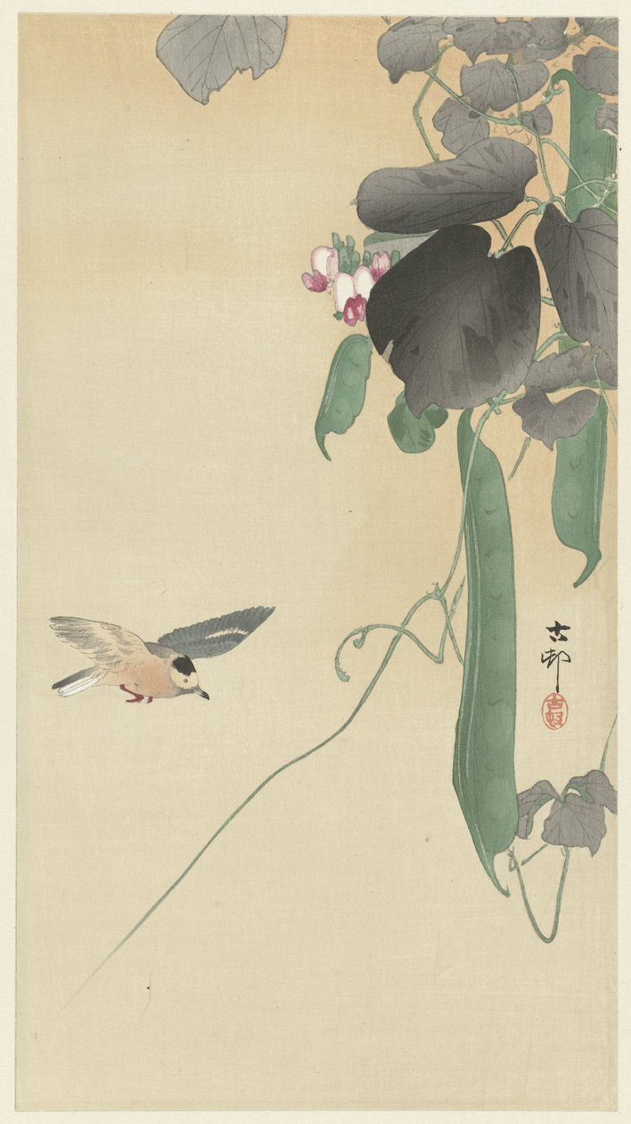 Fugl ved blomstrende bønneplante av Ohara Koson