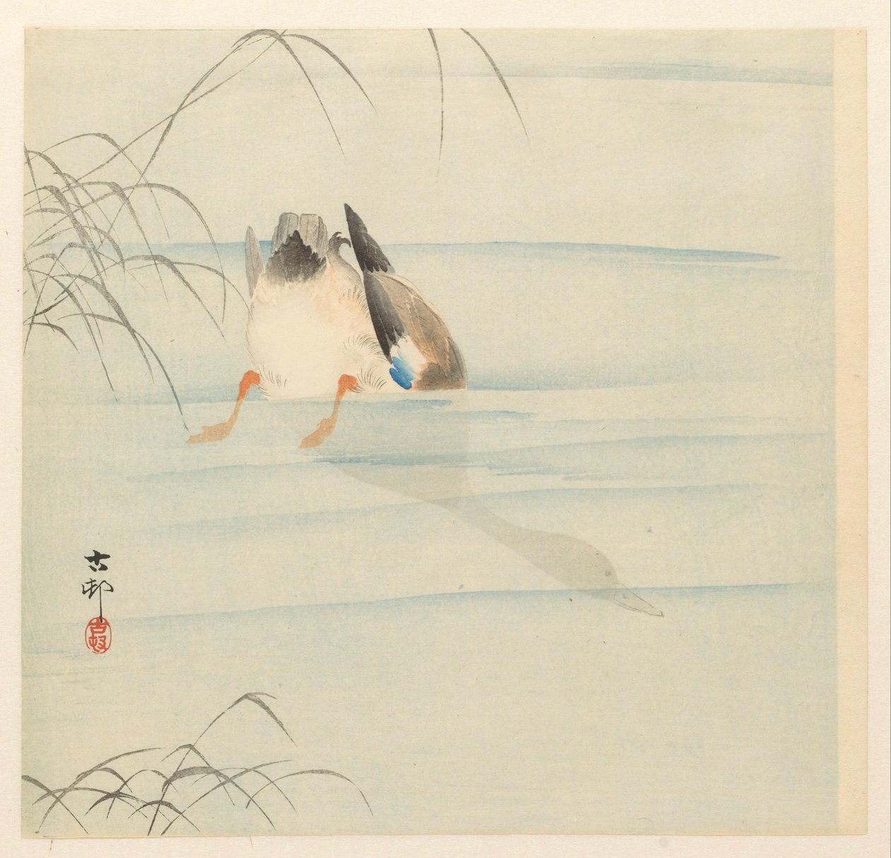 Stokand, hodet under vann av Ohara Koson