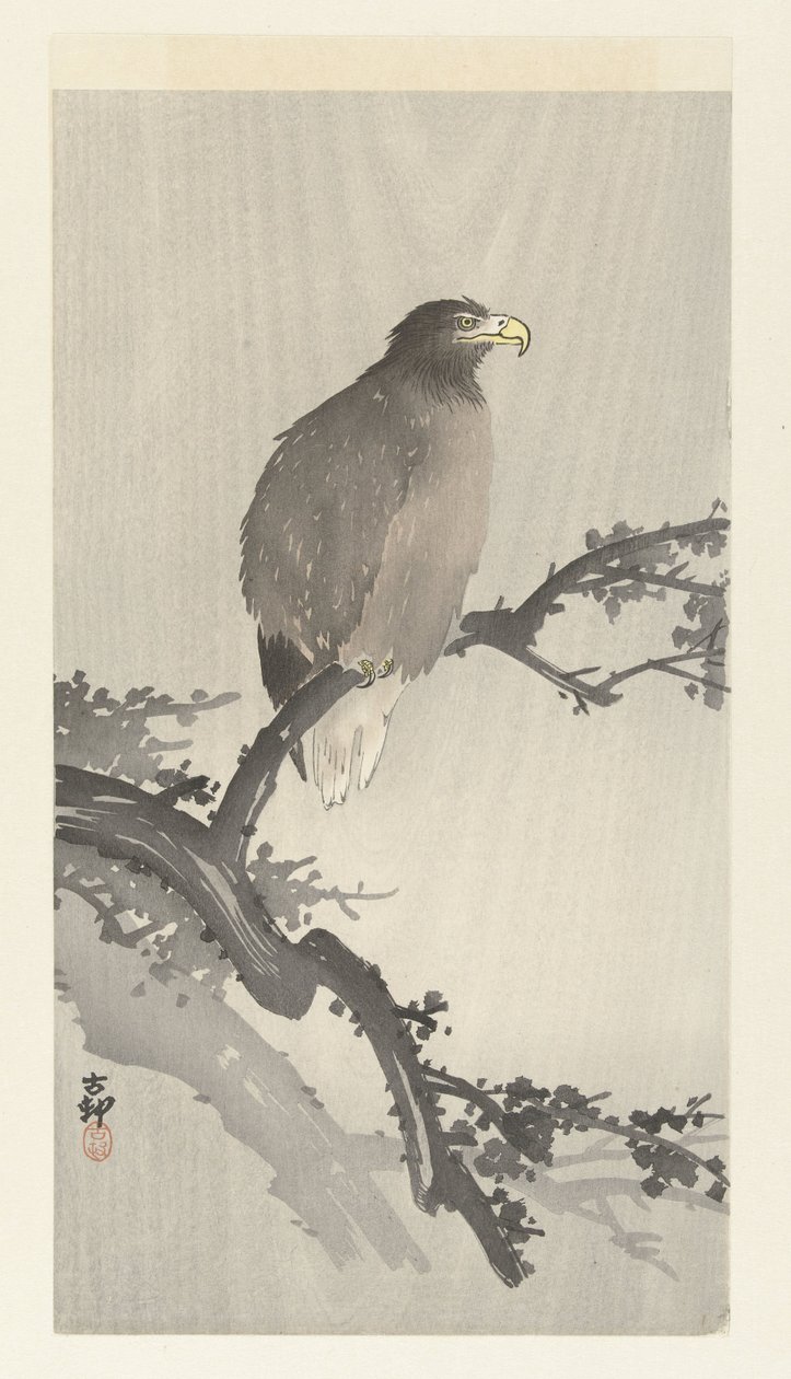 Bald ørn på gren av Ohara Koson