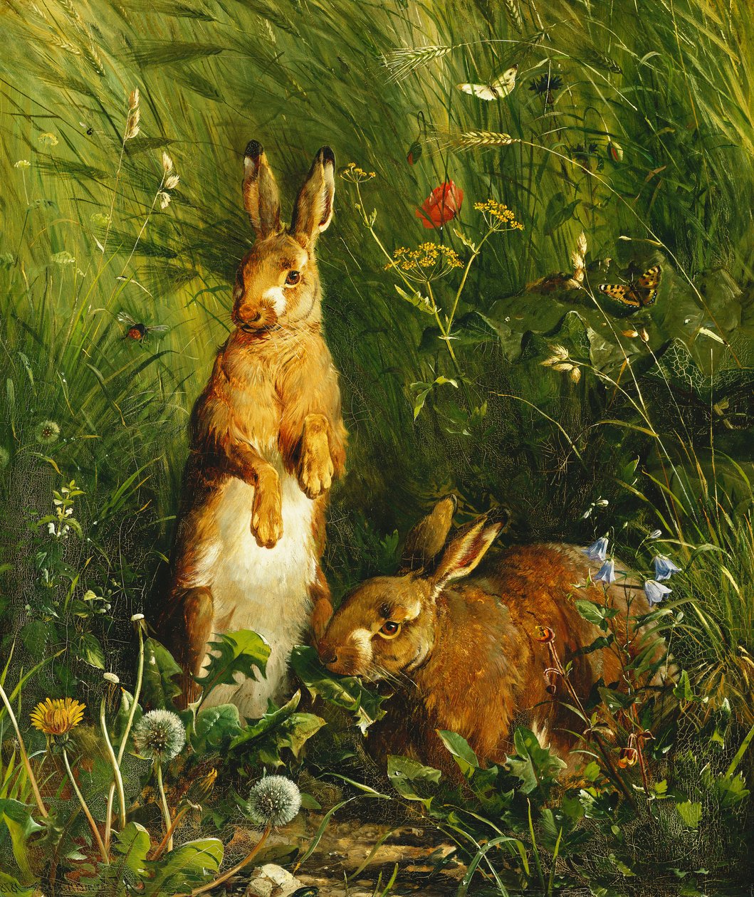 Harer, 1878 av Olaf August Hermansen