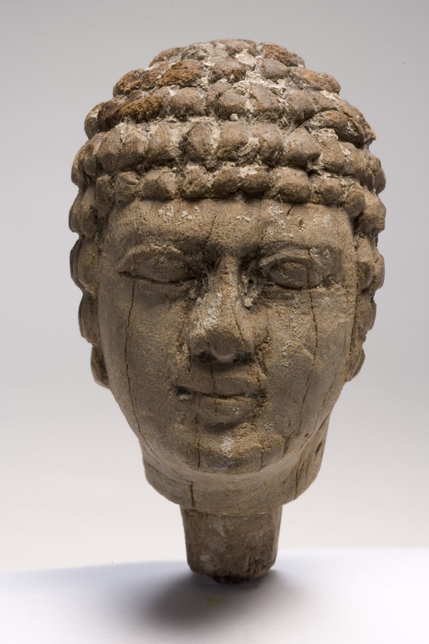 Hodet til en mann (tre) (se også 249003-4 og 249006) av Old Kingdom Egyptian