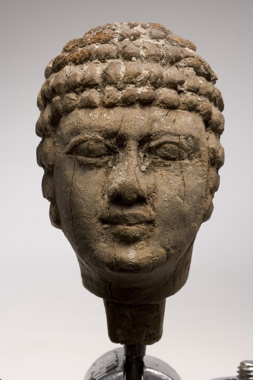 Hodet til en mann (tre) (se også 249003 og 249005-6) av Old Kingdom Egyptian
