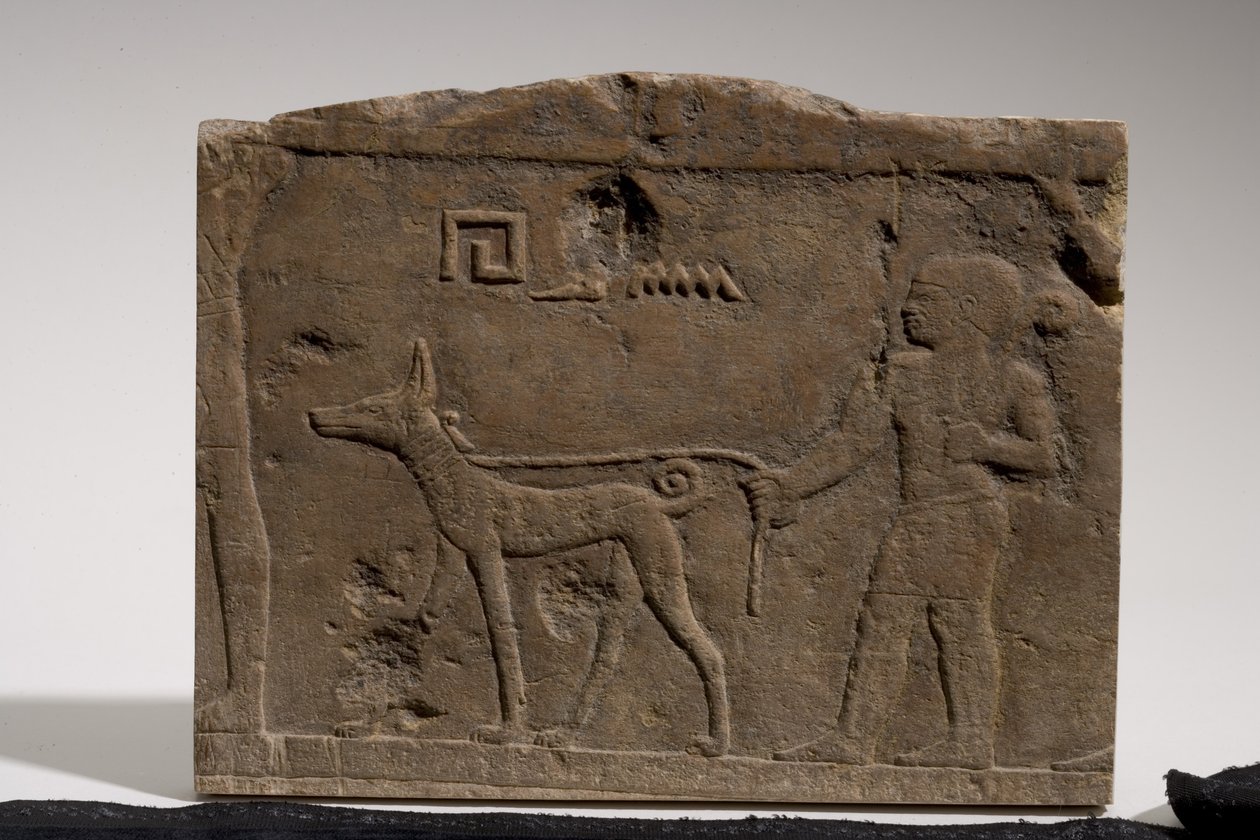Relieff som viser en dverg og en jakthund ved navn Ebony, 4.-5. dynasti, 2573-2311 f.Kr. (kalkstein) av Old Kingdom Egyptian