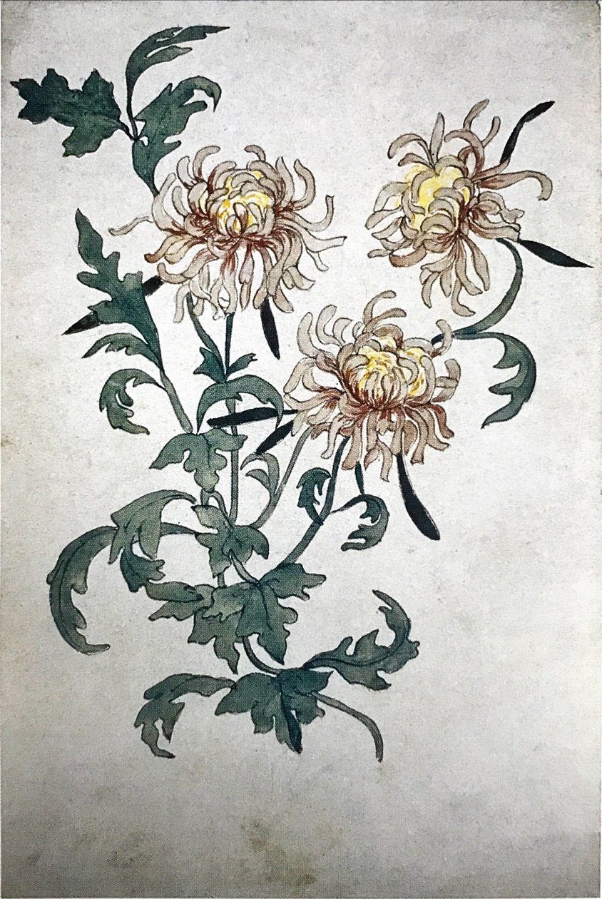 Blomster av Olga Rozanova