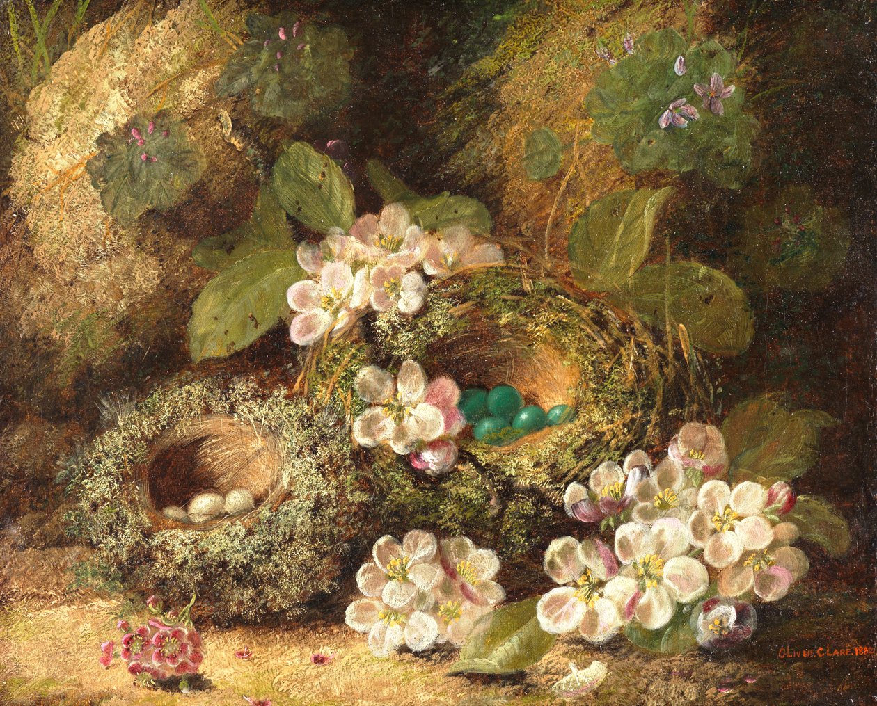 Primroser og fuglereder på en mosegrodd bank, 1882 av Oliver Clare