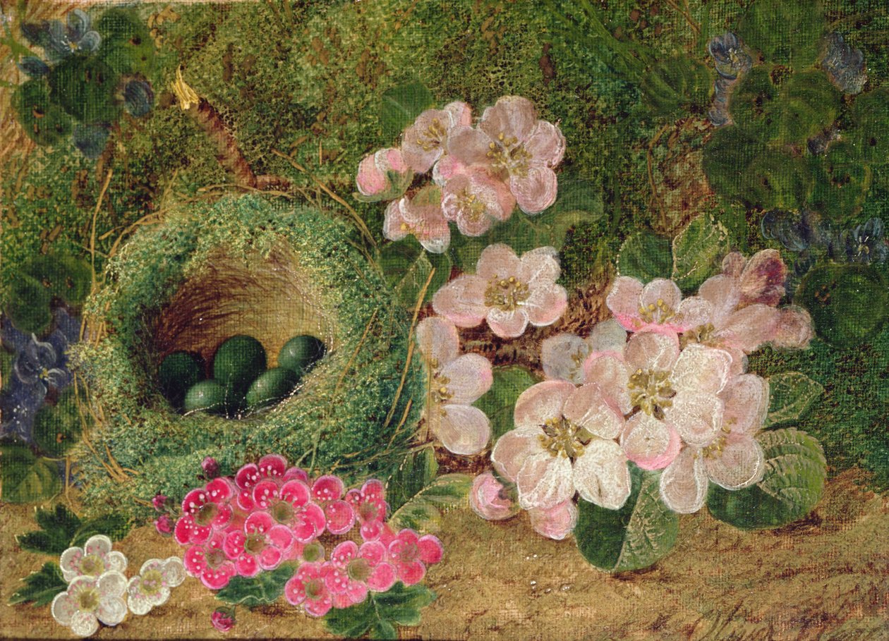 Primroser ved et fuglerede av Oliver Clare